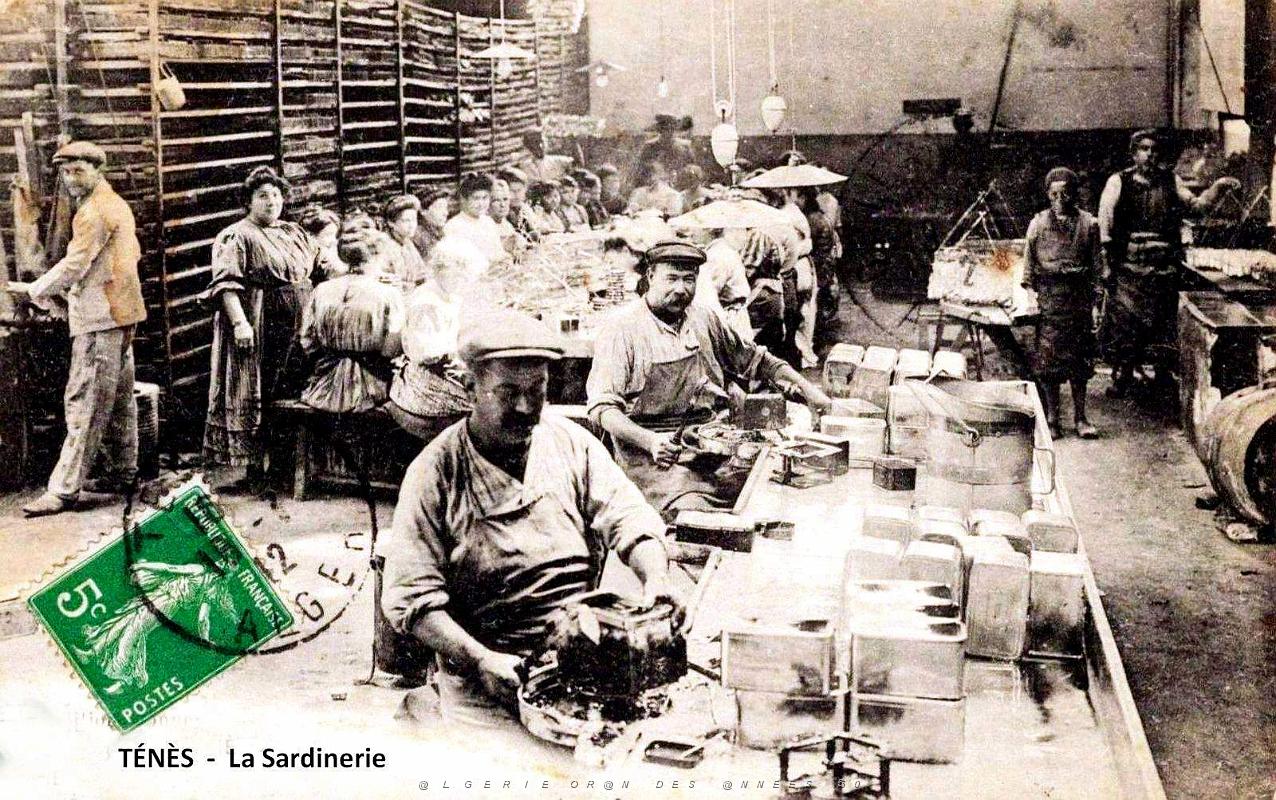 2170- Tenes - Sardinerie - 1912.jpg